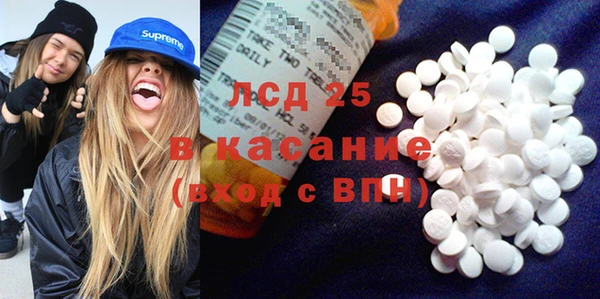 ГАЛЛЮЦИНОГЕННЫЕ ГРИБЫ Алзамай