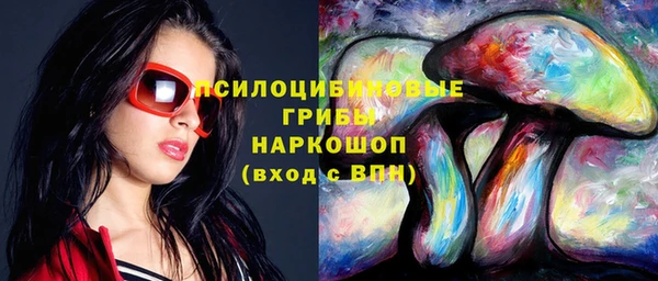 ГАЛЛЮЦИНОГЕННЫЕ ГРИБЫ Алзамай