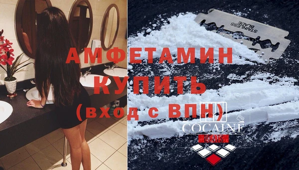 твердый Новозыбков