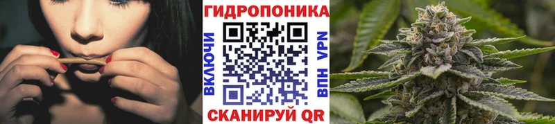 Конопля индика сколько стоит Хадыженск